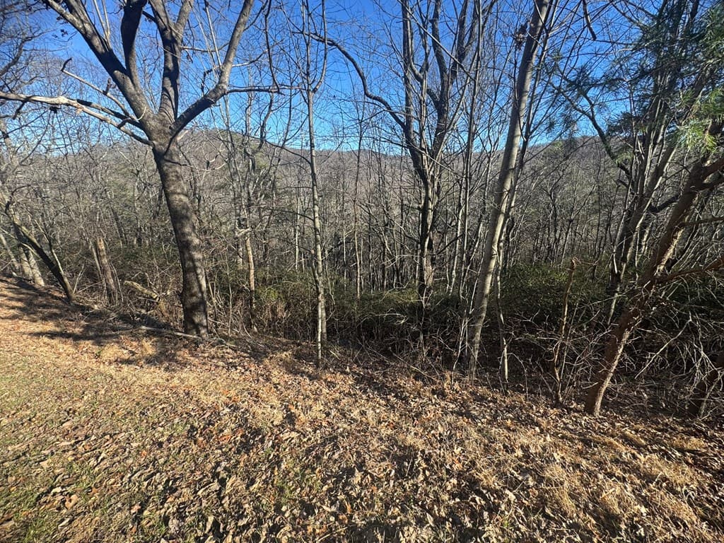 Lot 228 Andes Ridge, Ellijay GA 30540 - Photo