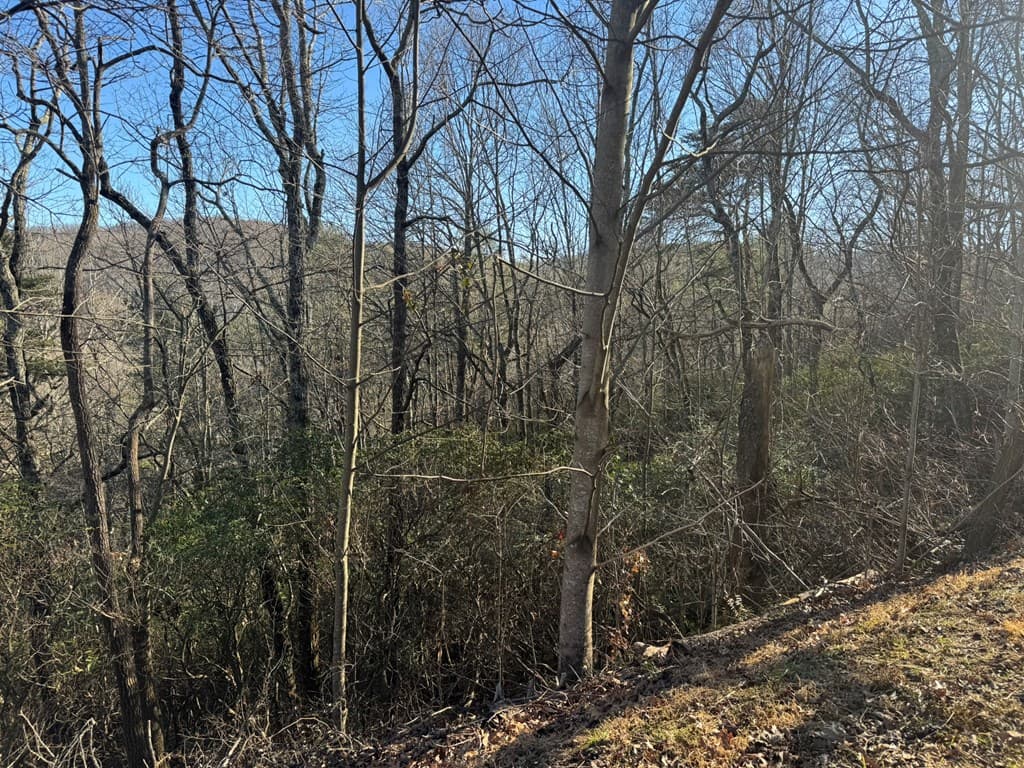 Lot 228 Andes Ridge, Ellijay GA 30540 - Photo