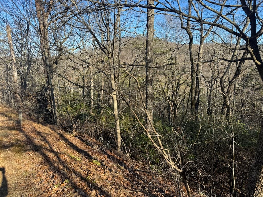 Lot 228 Andes Ridge, Ellijay GA 30540 - Photo
