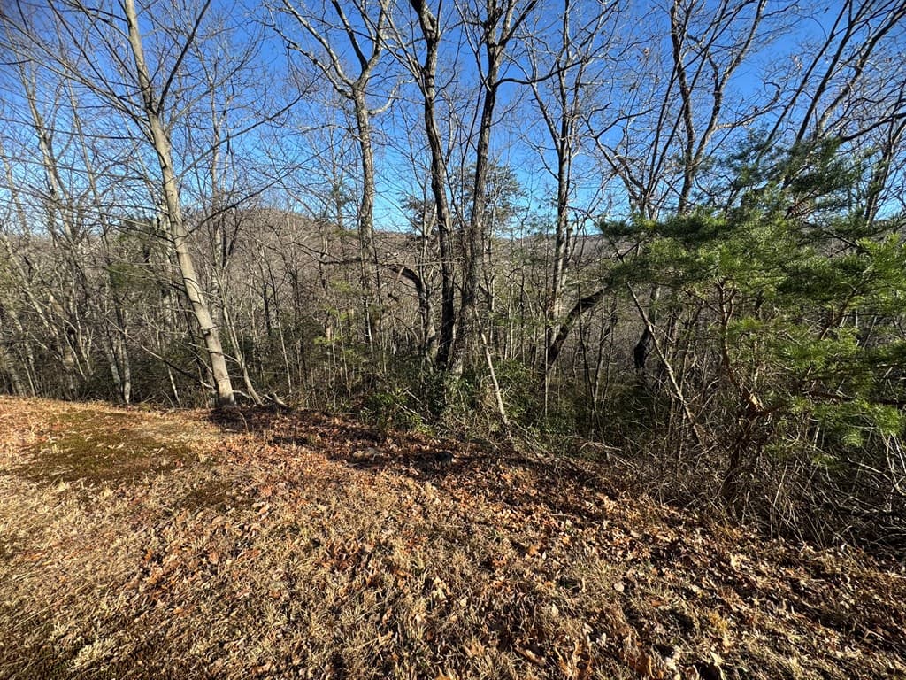 Lot 228 Andes Ridge, Ellijay GA 30540 - Photo