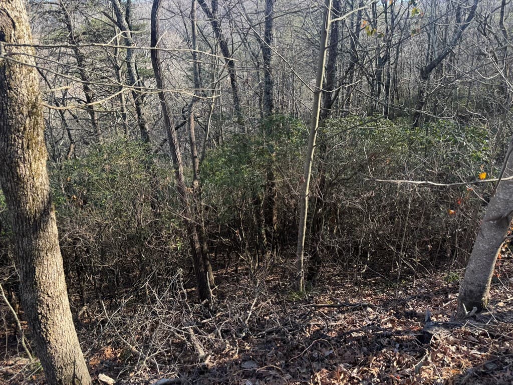 Lot 228 Andes Ridge, Ellijay GA 30540 - Photo