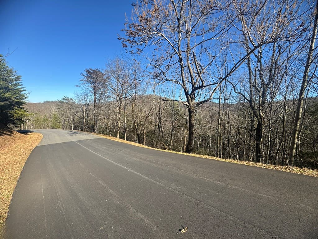 Lot 228 Andes Ridge, Ellijay GA 30540 - Photo