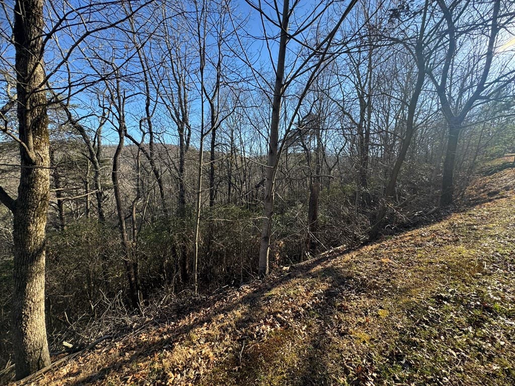 Lot 228 Andes Ridge, Ellijay GA 30540 - Photo