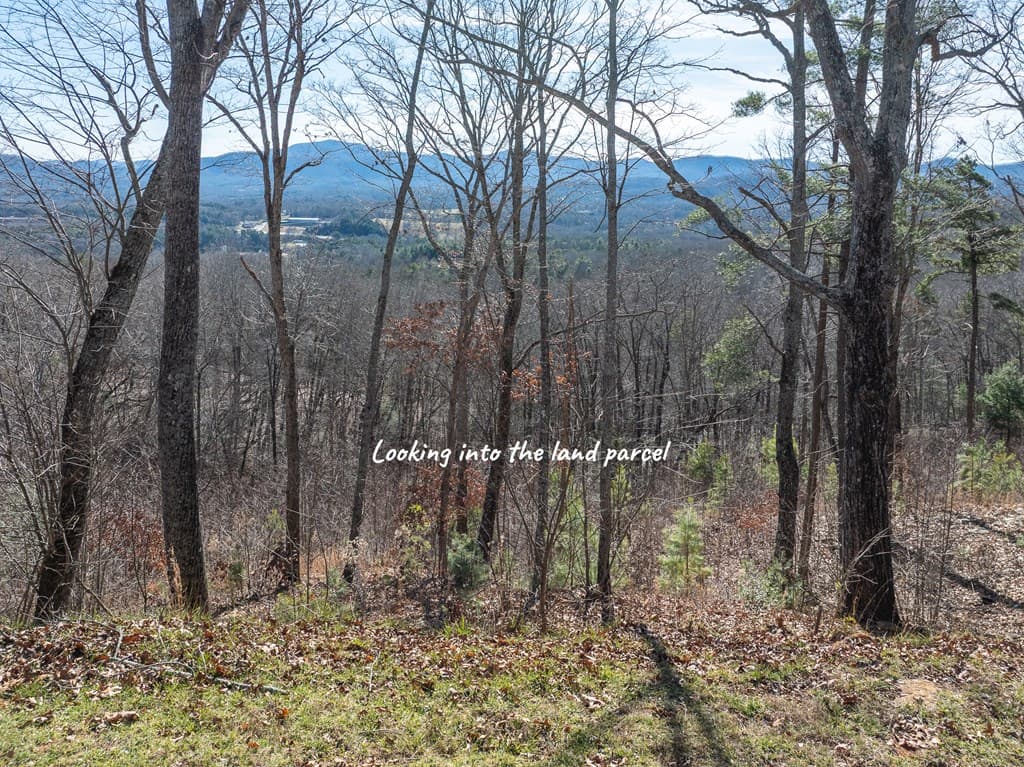 Lot 132 Highland Park, Blairsville GA 30512 - Photo
