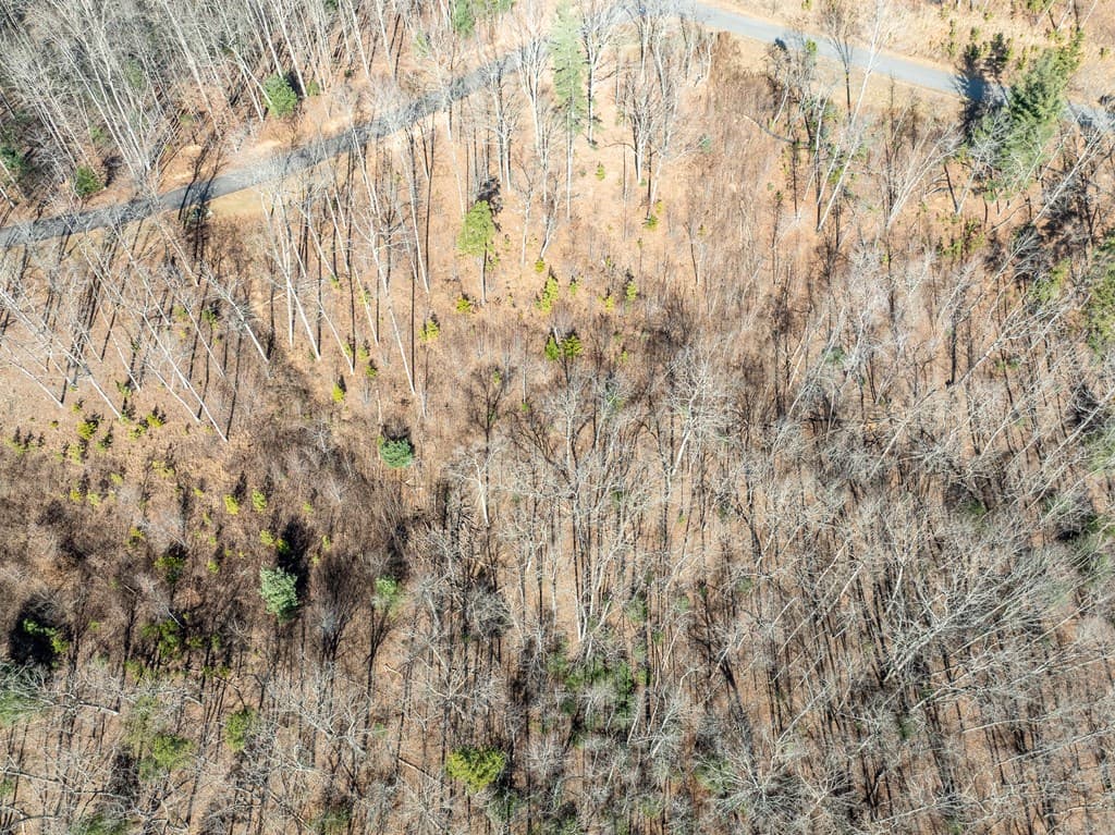 Lot 132 Highland Park, Blairsville GA 30512 - Photo