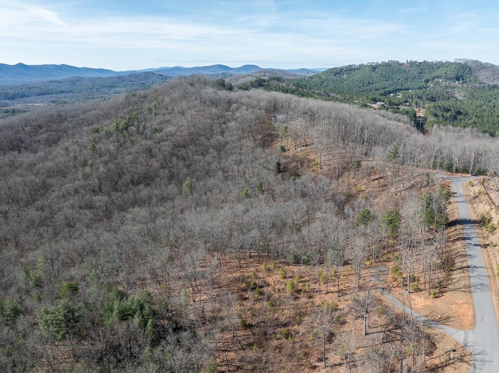 Lot 132 Highland Park, Blairsville GA 30512 - Photo