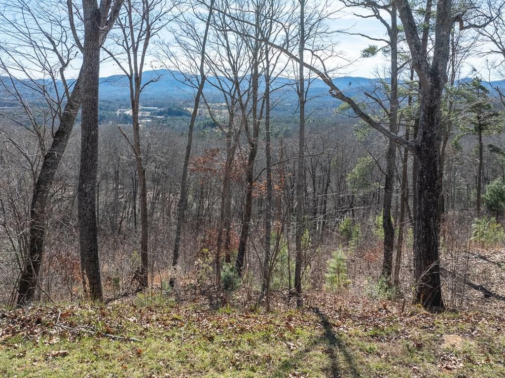 Lot 132 Highland Park, Blairsville GA 30512 - Primary photo