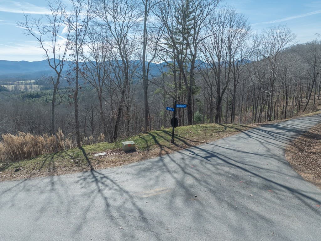 Lot 132 Highland Park, Blairsville GA 30512 - Photo