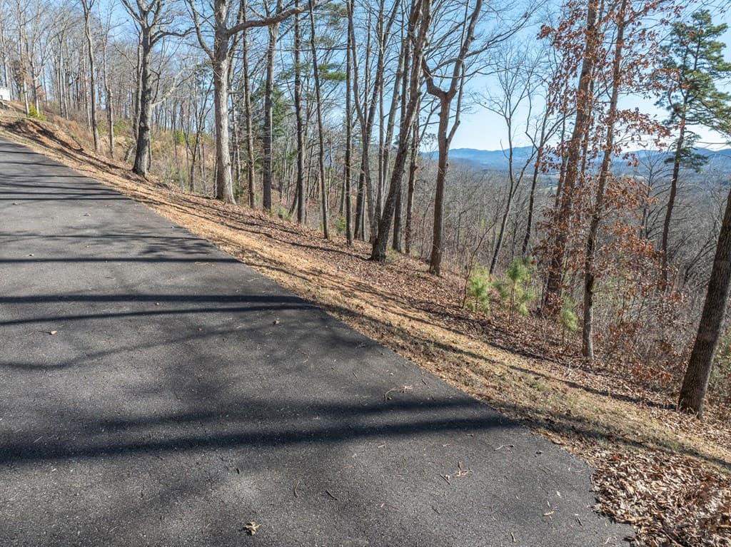 Lot 132 Highland Park, Blairsville GA 30512 - Photo