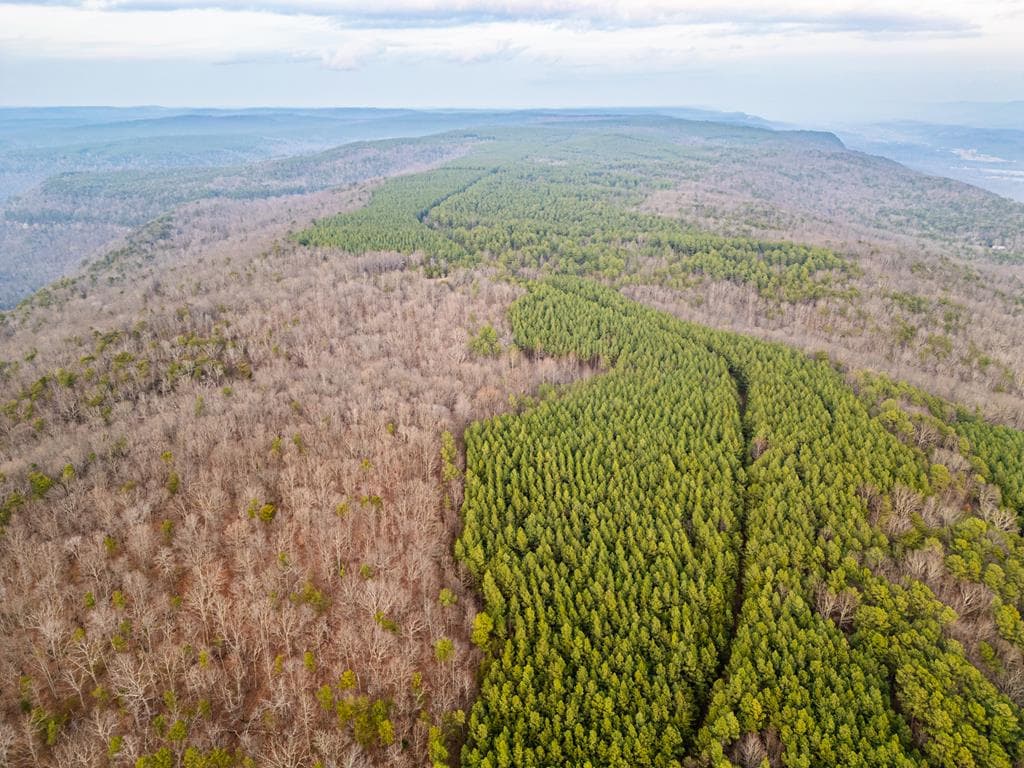 029003.0 Smith Mountain, Dunlap TN 37327 - Photo