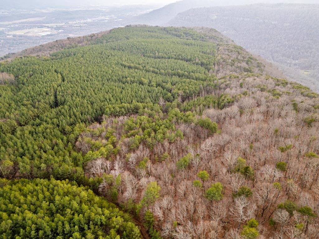 029003.0 Smith Mountain, Dunlap TN 37327 - Photo