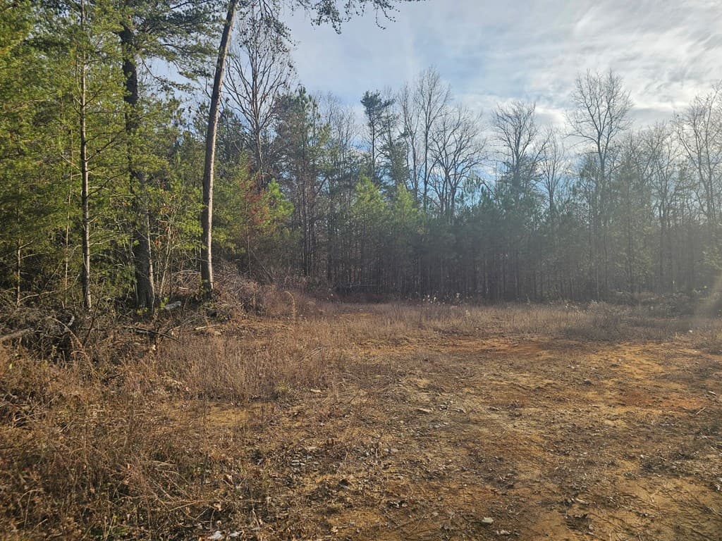 029003.0 Smith Mountain, Dunlap TN 37327 - Photo