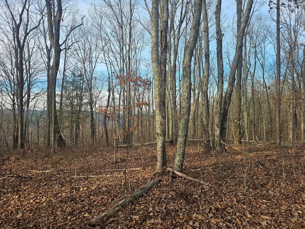 029003.0 Smith Mountain, Dunlap TN 37327 - Primary photo