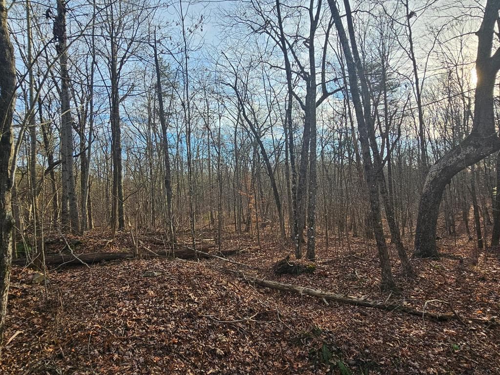 029003.0 Smith Mountain, Dunlap TN 37327 - Photo