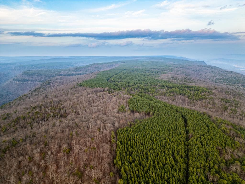 029003.0 Smith Mountain, Dunlap TN 37327 - Photo