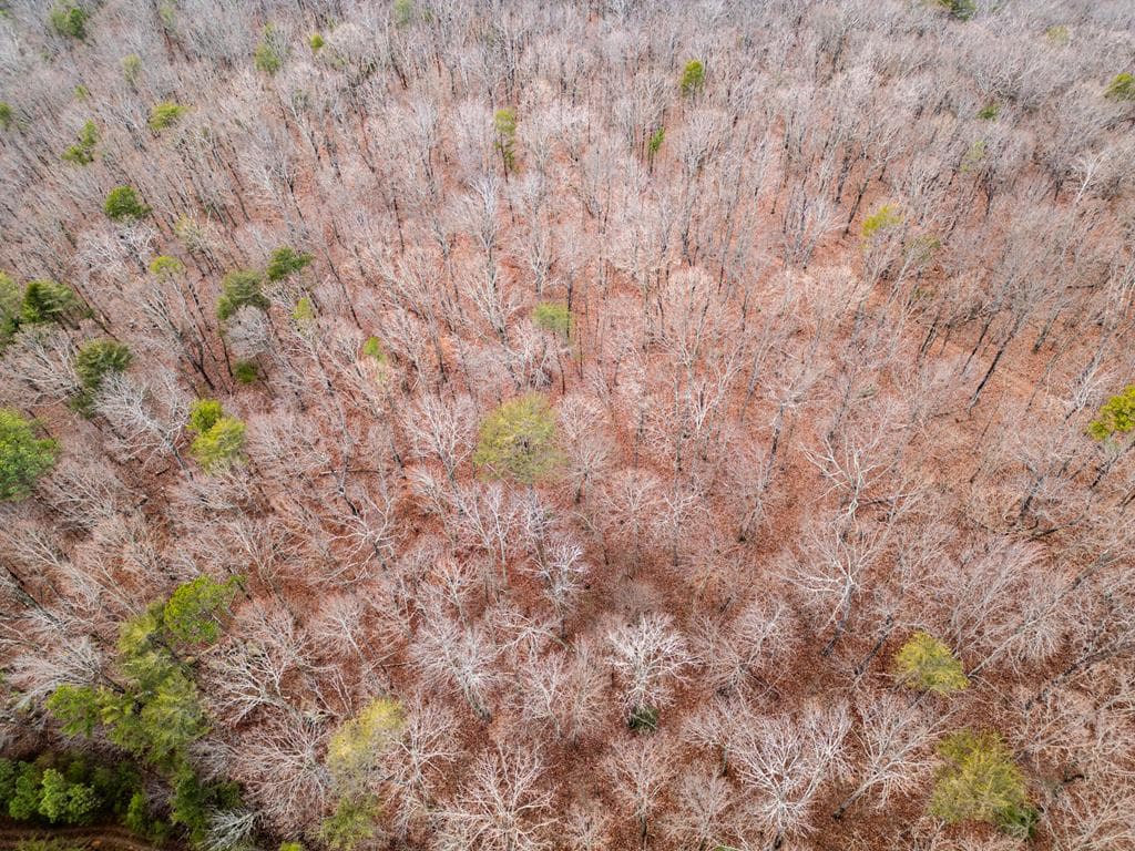029003.0 Smith Mountain, Dunlap TN 37327 - Photo