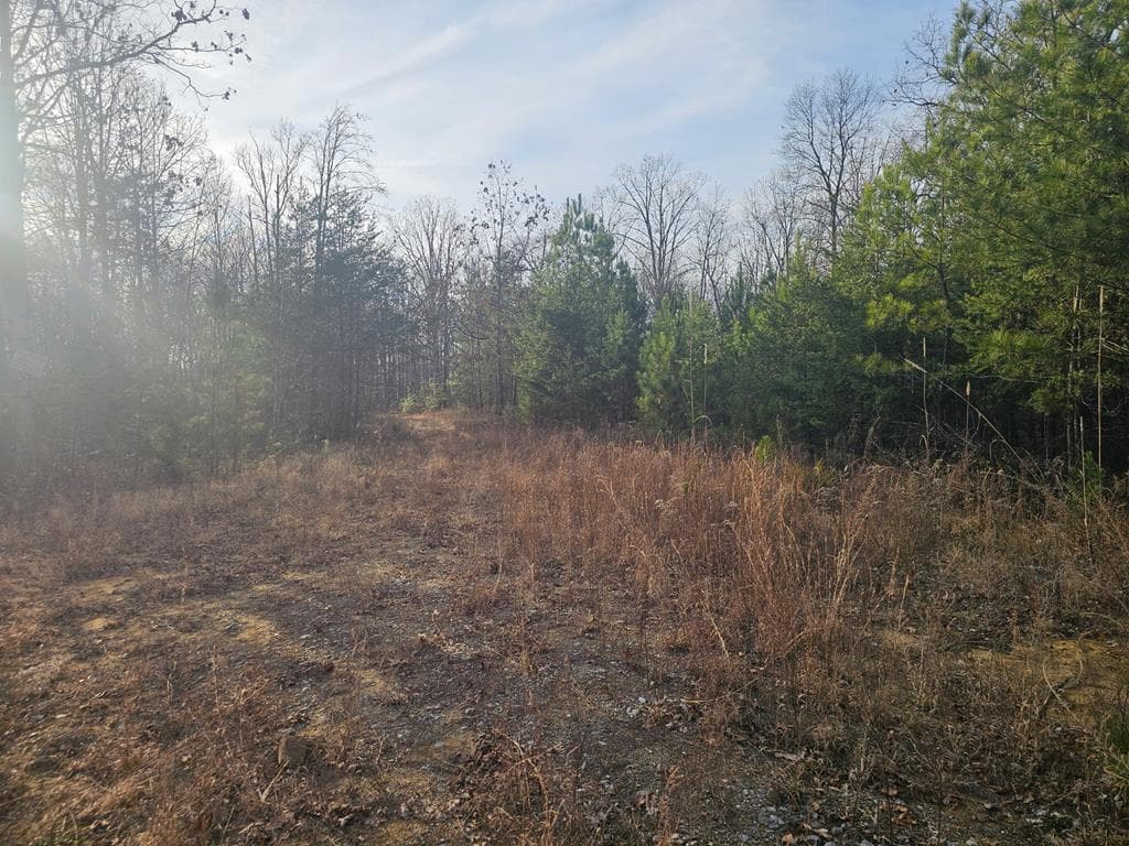 029003.0 Smith Mountain, Dunlap TN 37327 - Photo