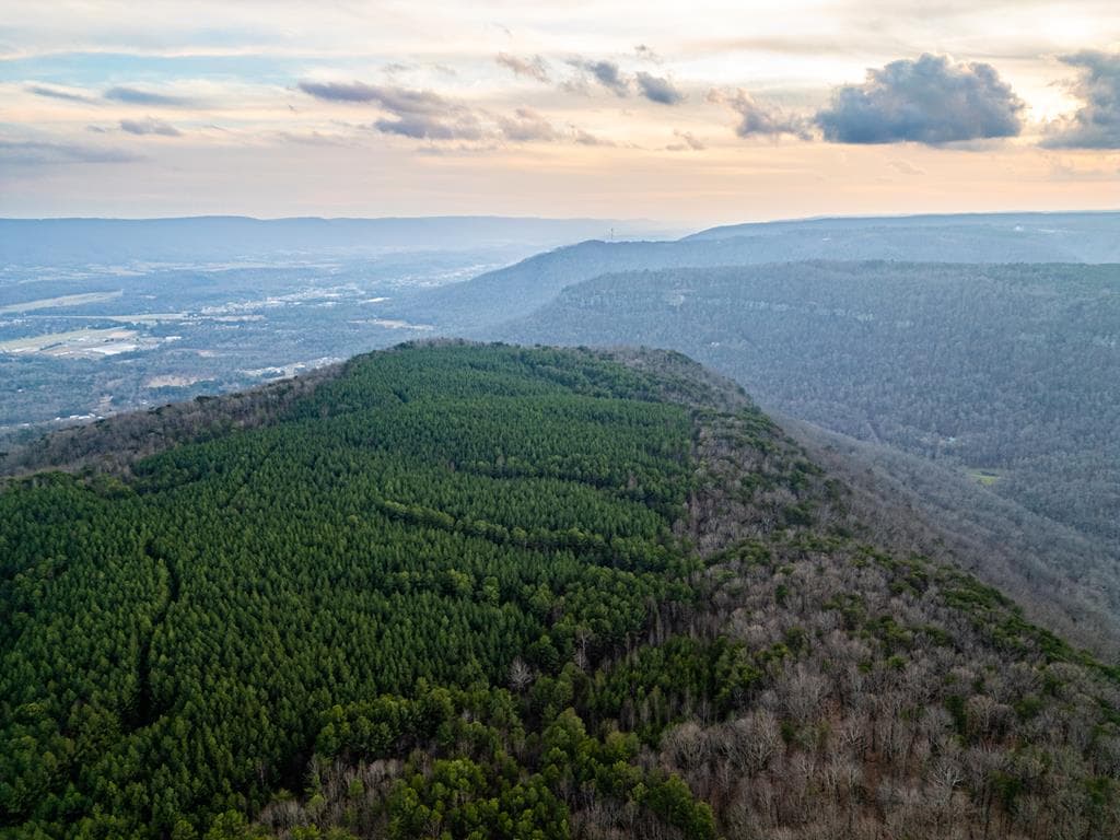 029003.0 Smith Mountain, Dunlap TN 37327 - Photo