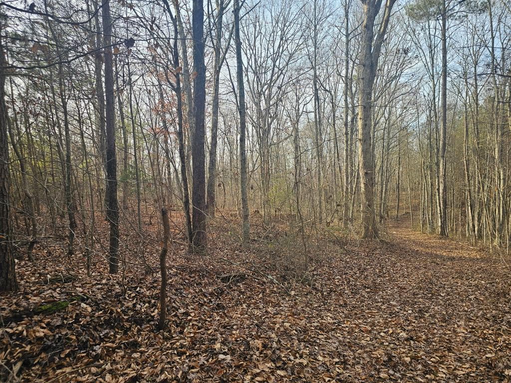 029003.0 Smith Mountain, Dunlap TN 37327 - Photo