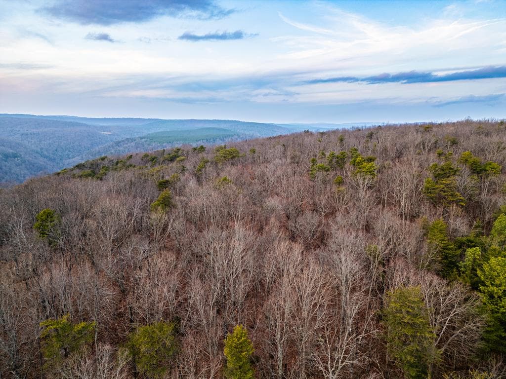029003.0 Smith Mountain, Dunlap TN 37327 - Photo
