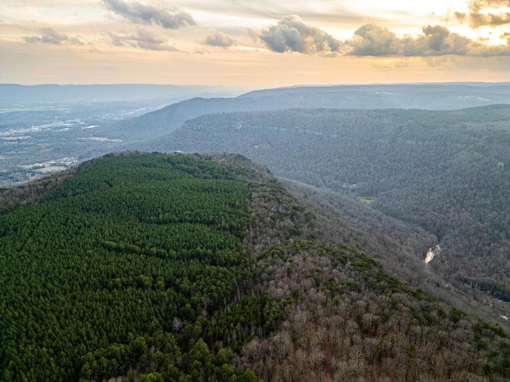 029003.0 Smith Mountain, Dunlap TN 37327 - Photo