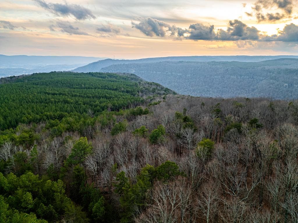 029003.0 Smith Mountain, Dunlap TN 37327 - Photo