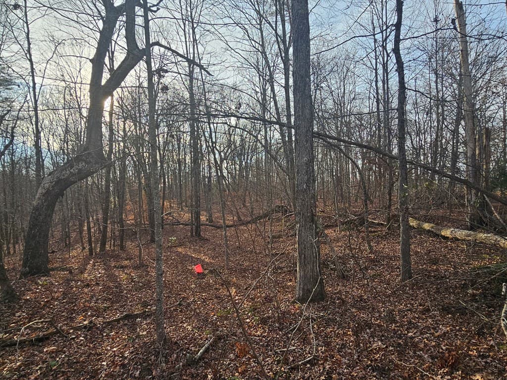 029003.0 Smith Mountain, Dunlap TN 37327 - Photo