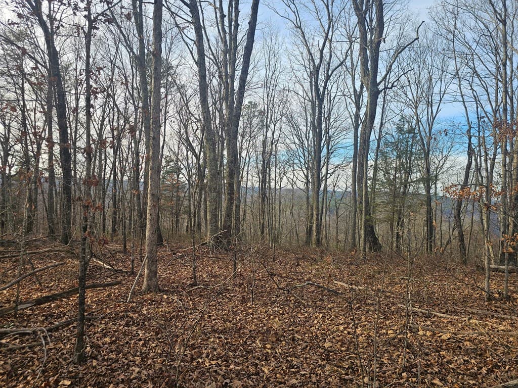 029003.0 Smith Mountain, Dunlap TN 37327 - Photo