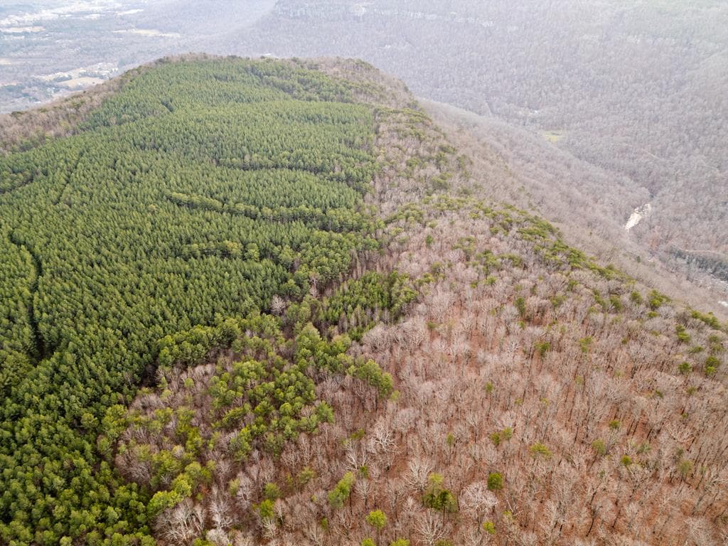 029003.0 Smith Mountain, Dunlap TN 37327 - Photo