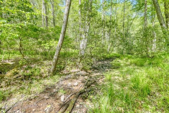 175 Broadtree Branch Drive, Hayesville NC 28904 - Photo