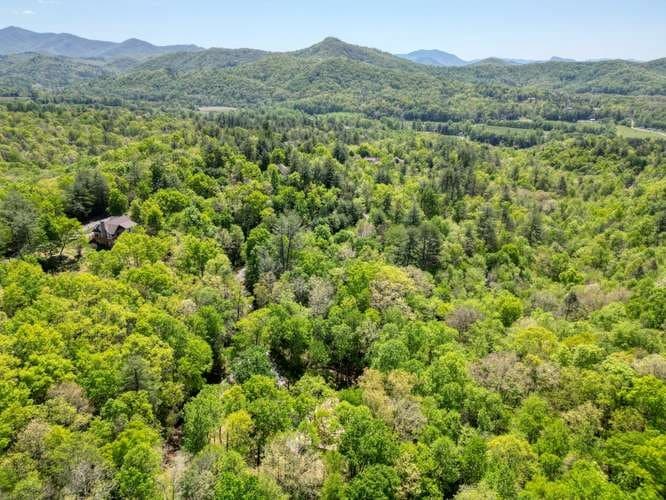 175 Broadtree Branch Drive, Hayesville NC 28904 - Photo