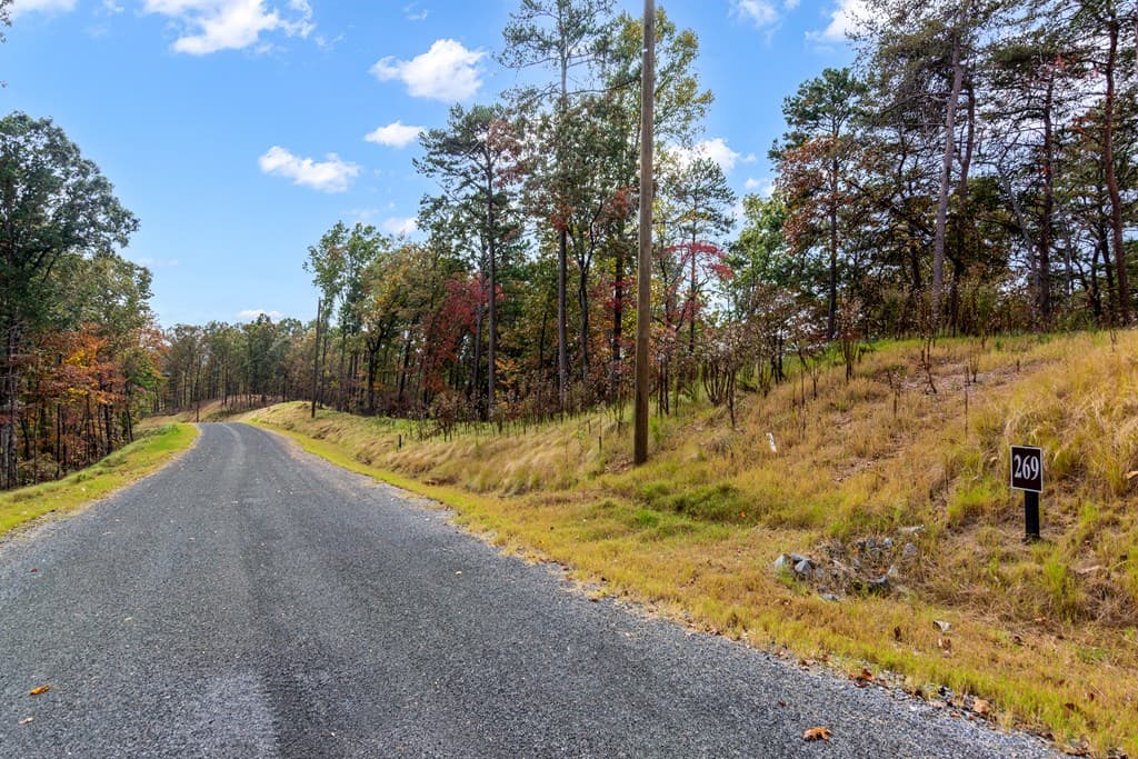 Lot 269 Canoe Way, Talking Rock GA 30175 - Photo