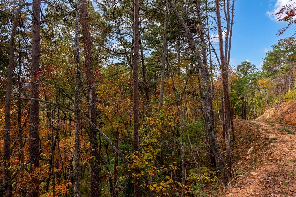 Lot 269 Canoe Way, Talking Rock GA 30175 - Photo