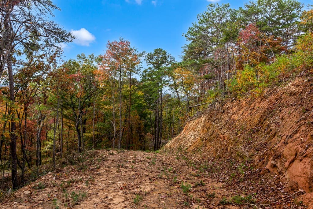 Lot 269 Canoe Way, Talking Rock GA 30175 - Photo