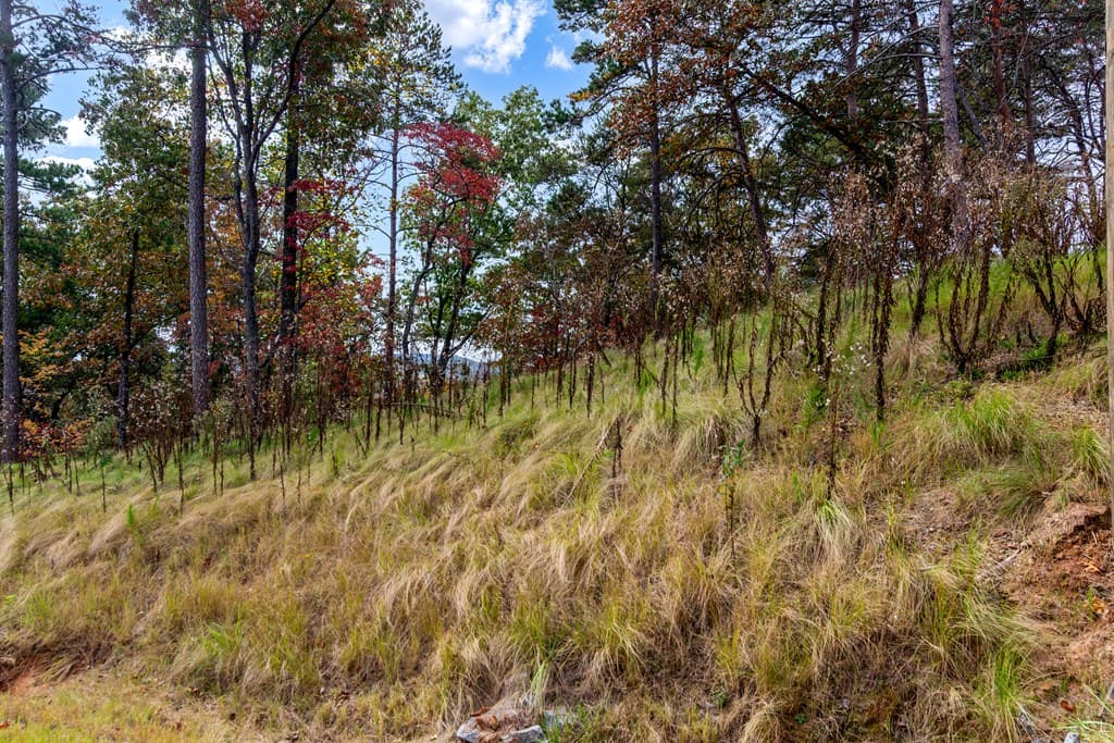 Lot 269 Canoe Way, Talking Rock GA 30175 - Photo