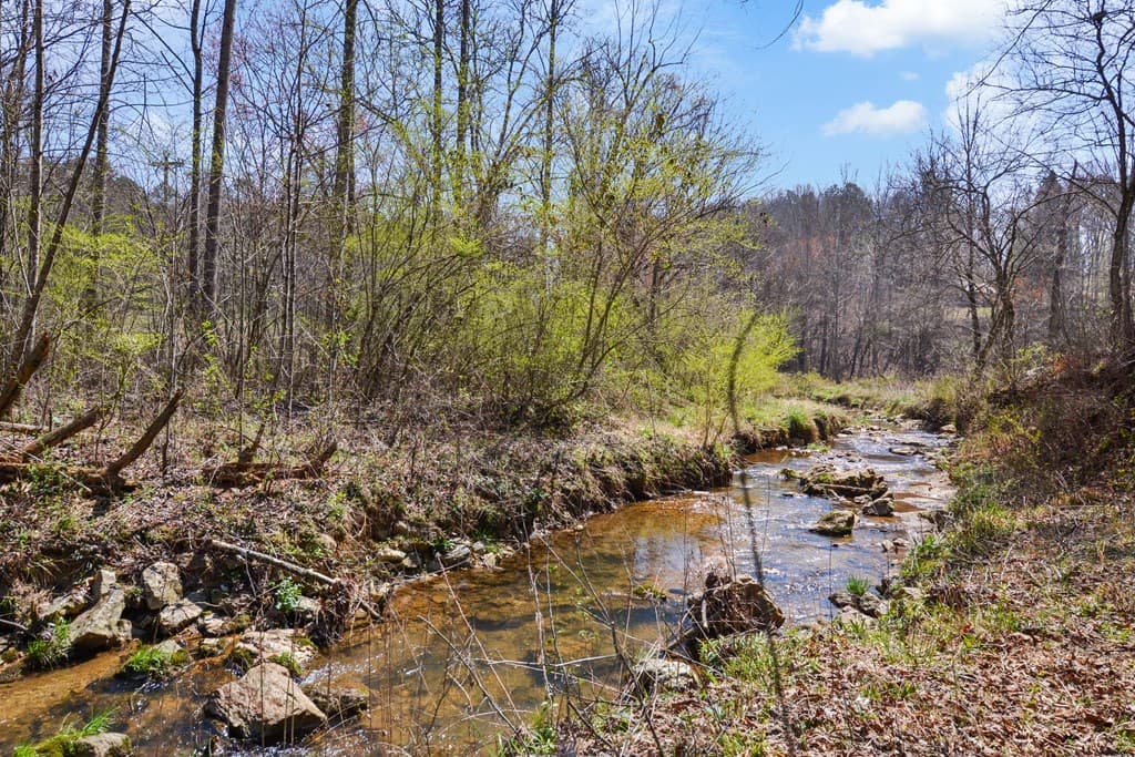 Lot 269 Canoe Way, Talking Rock GA 30175 - Photo