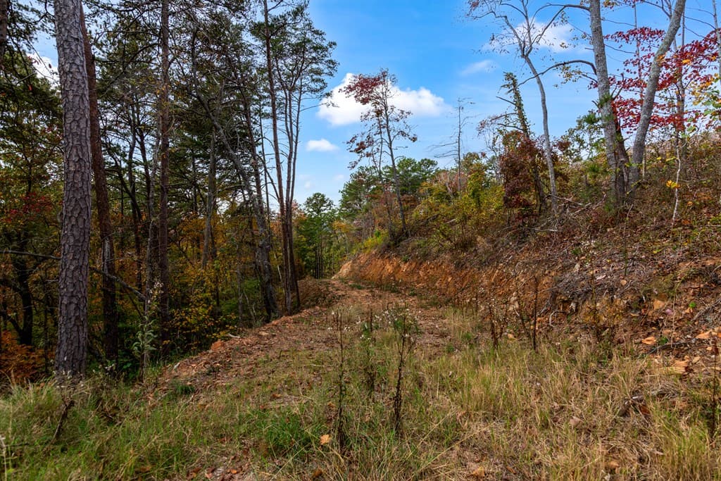 Lot 269 Canoe Way, Talking Rock GA 30175 - Photo