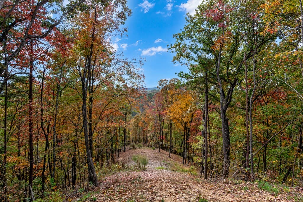 Lot 269 Canoe Way, Talking Rock GA 30175 - Photo
