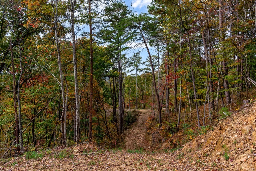 Lot 269 Canoe Way, Talking Rock GA 30175 - Photo
