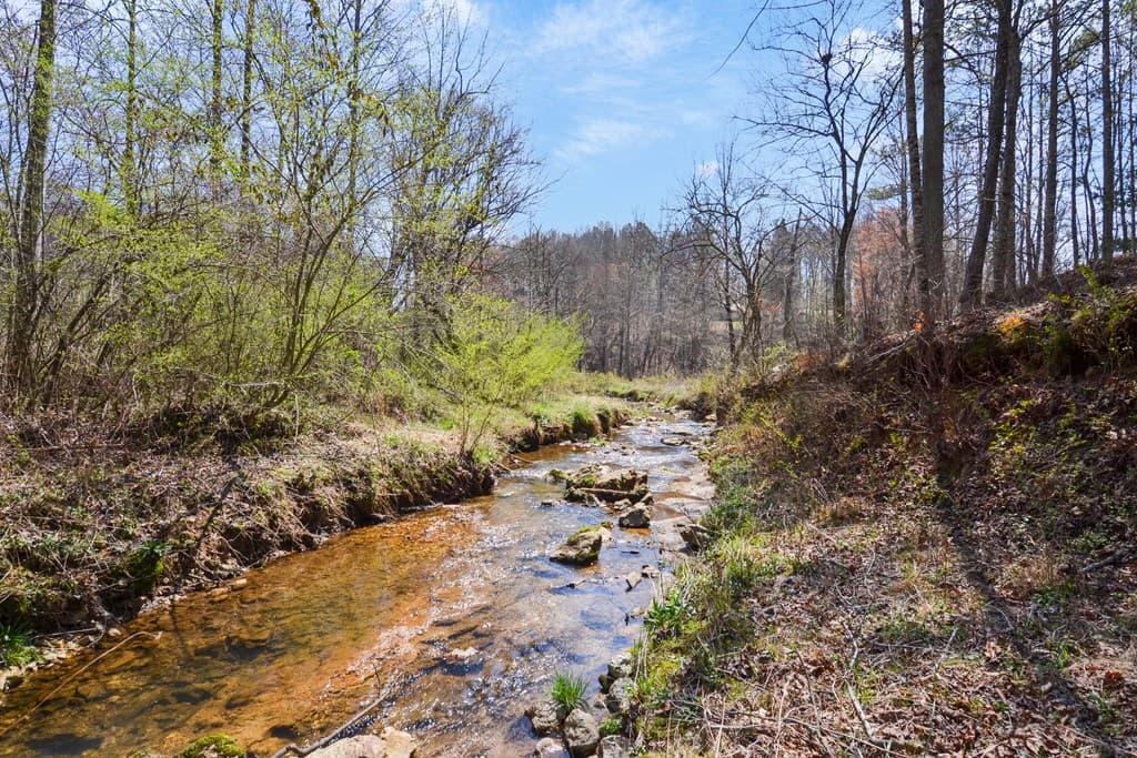 Lot 269 Canoe Way, Talking Rock GA 30175 - Photo