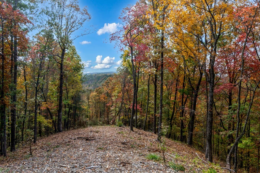 Lot 269 Canoe Way, Talking Rock GA 30175 - Photo