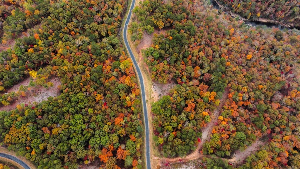 Lot 269 Canoe Way, Talking Rock GA 30175 - Photo