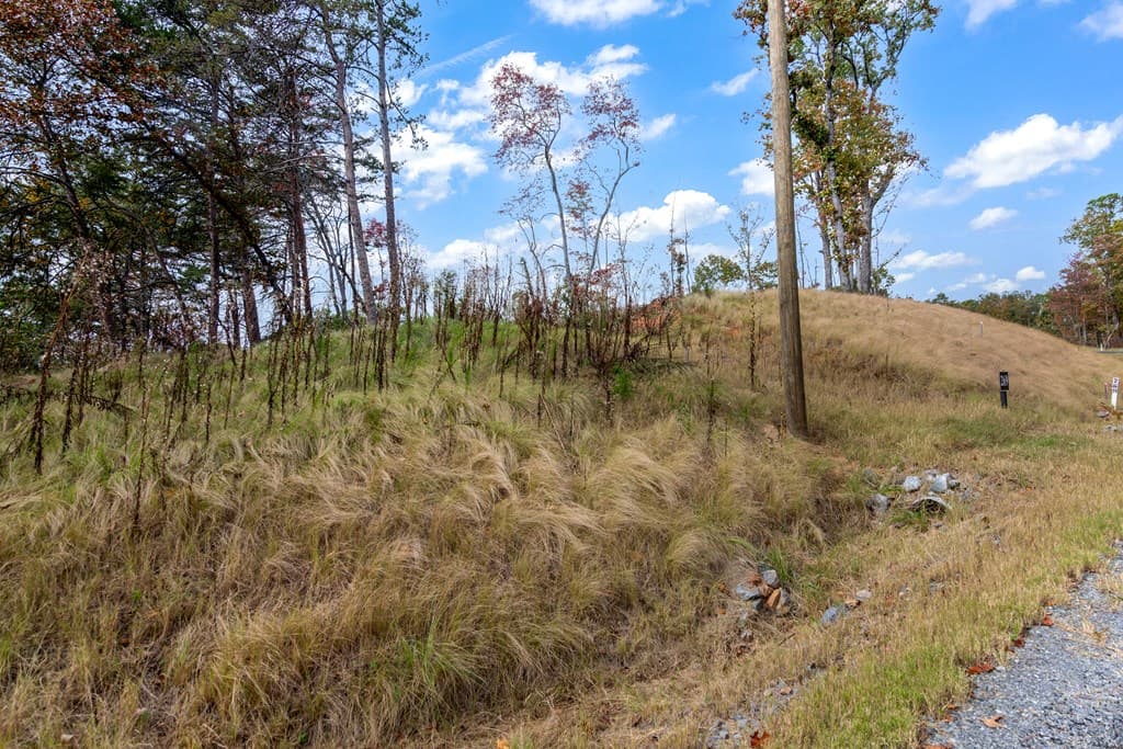 Lot 269 Canoe Way, Talking Rock GA 30175 - Photo