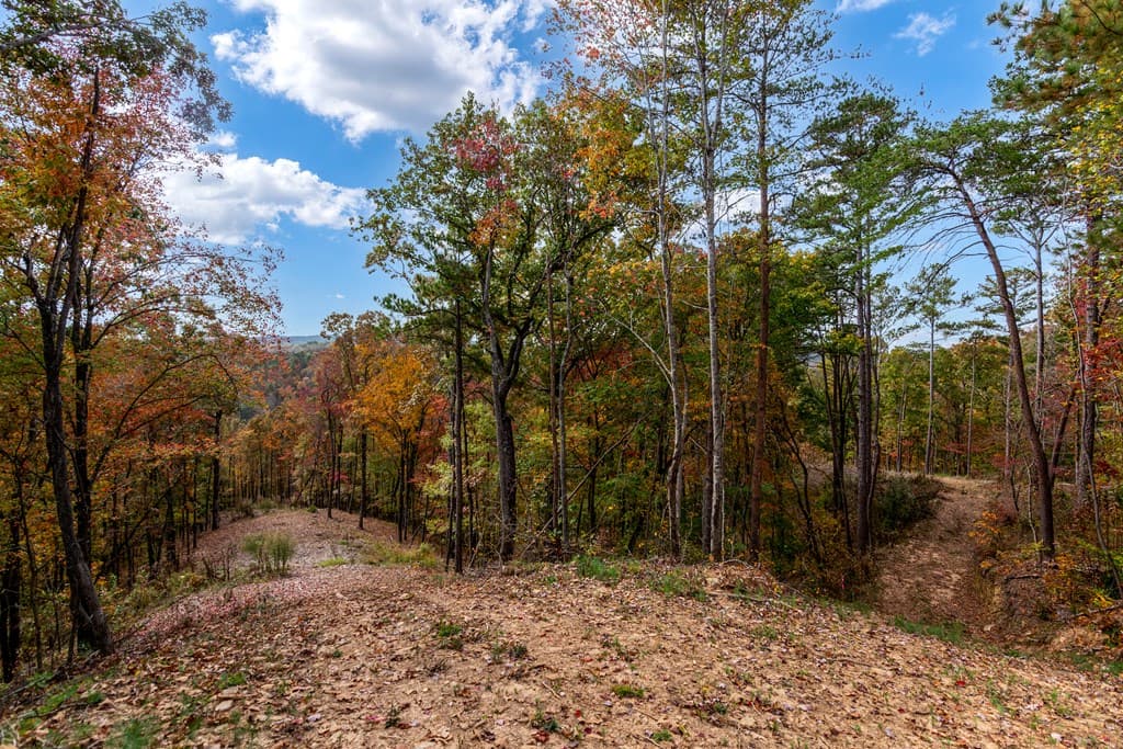 Lot 269 Canoe Way, Talking Rock GA 30175 - Photo