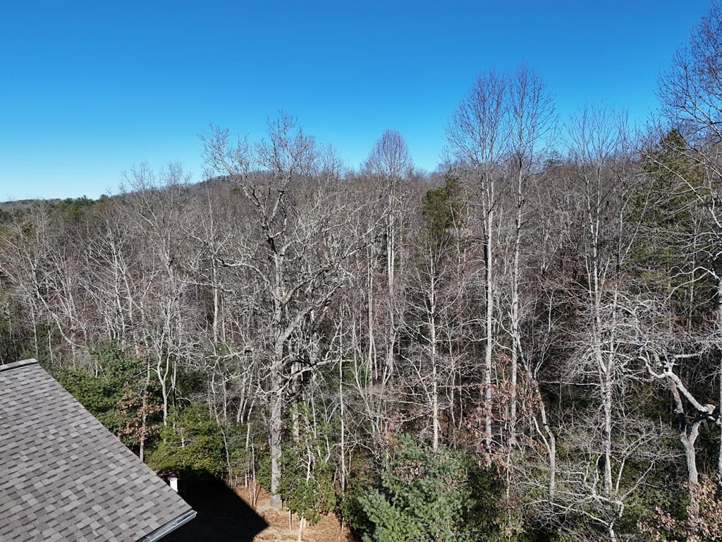 Lot 34 Honeysuckle Drive, Blairsville GA 30512 - Photo