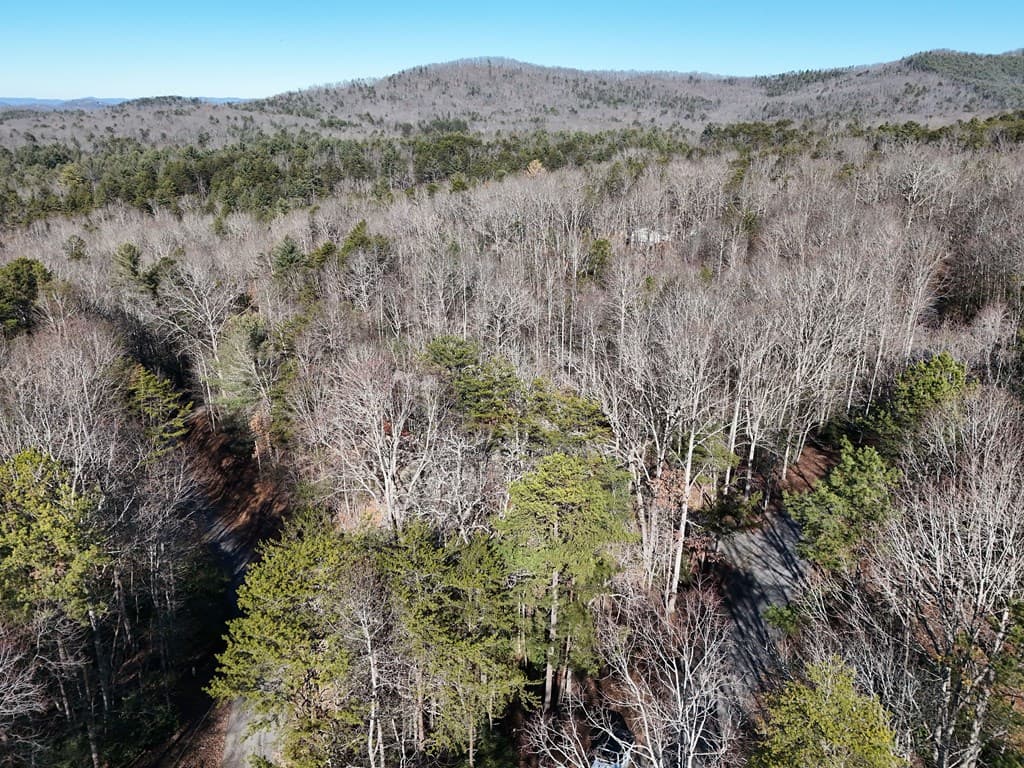 Lot 34 Honeysuckle Drive, Blairsville GA 30512 - Photo