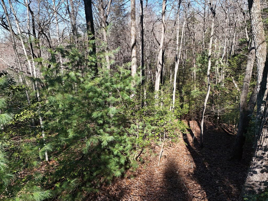 Lot 34 Honeysuckle Drive, Blairsville GA 30512 - Photo