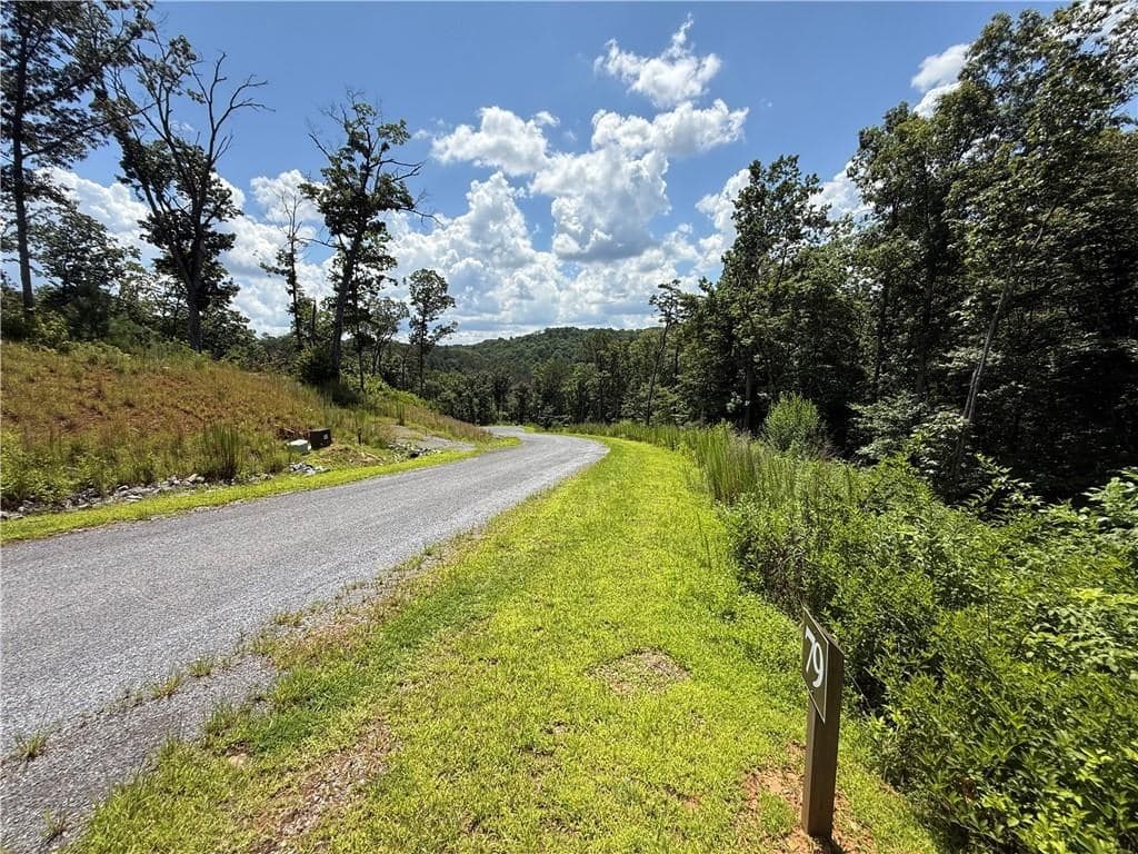 79 River Overlook Lane S, Ellijay GA 30540 - Photo