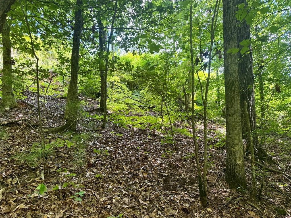 79 River Overlook Lane S, Ellijay GA 30540 - Photo
