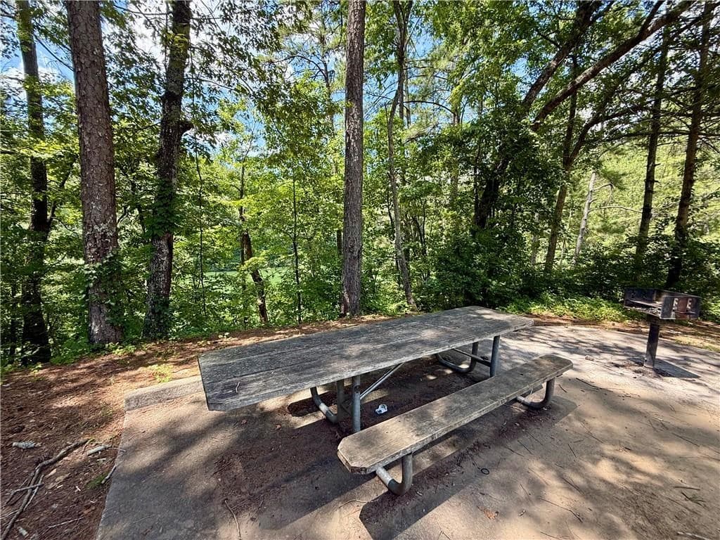 79 River Overlook Lane S, Ellijay GA 30540 - Photo